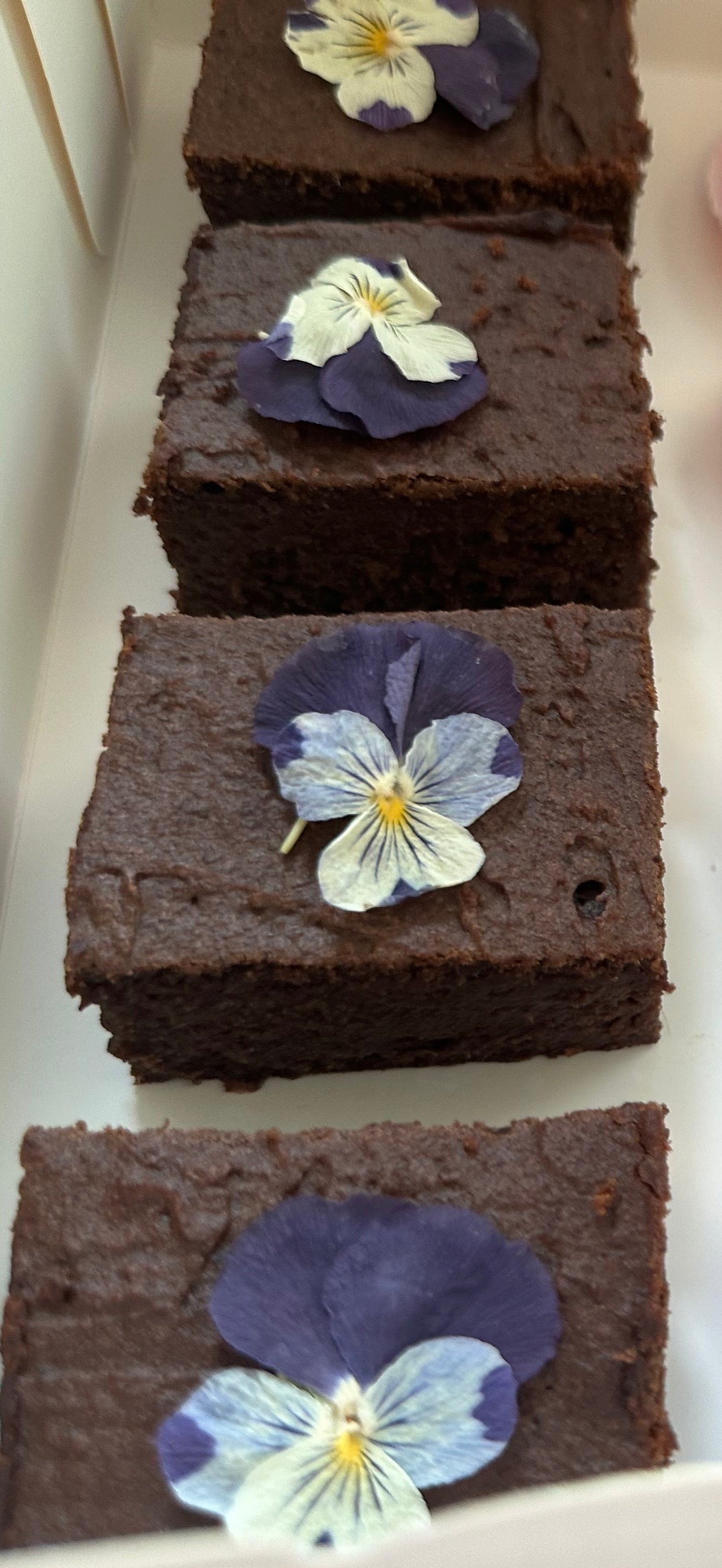 Cricket and almond brownies