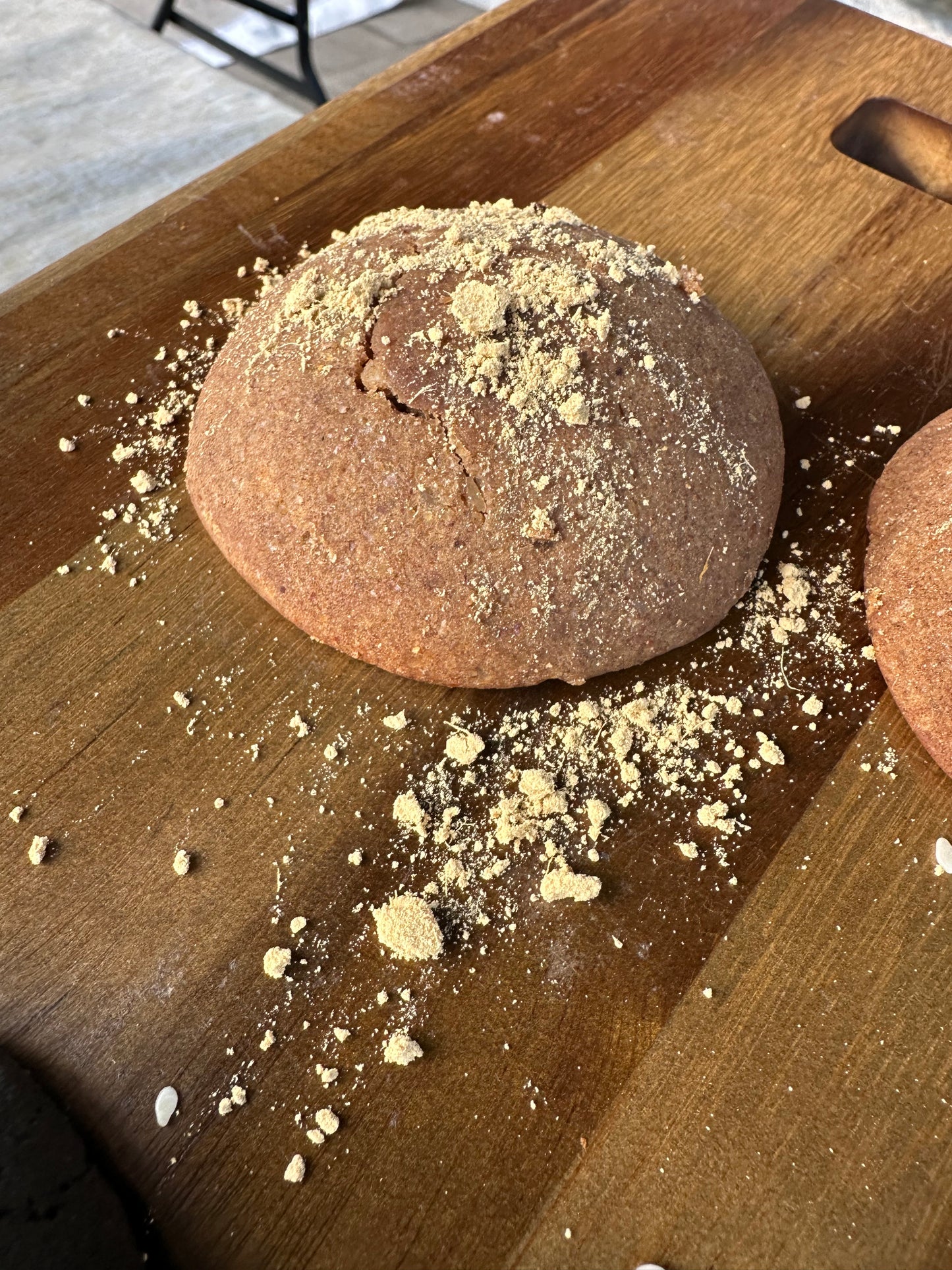 Ginger - Mixed Insect Cookie