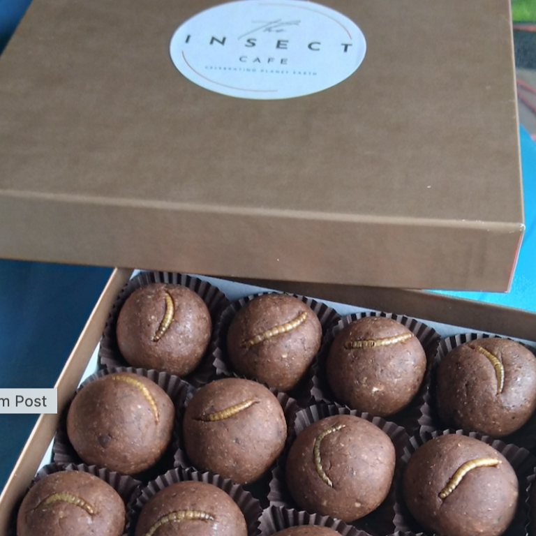 Cocoa & Peanut Butter Larva Balls