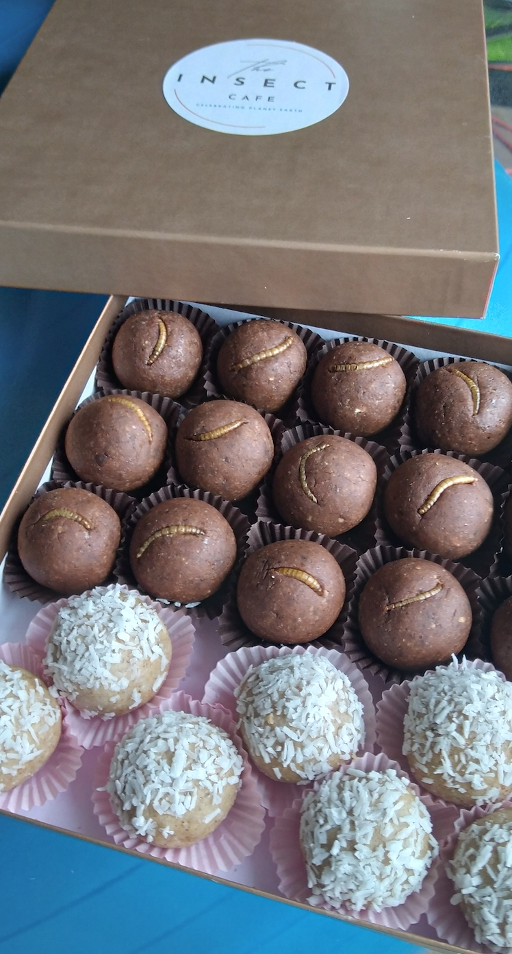 Cocoa & Peanut Butter Larva Balls