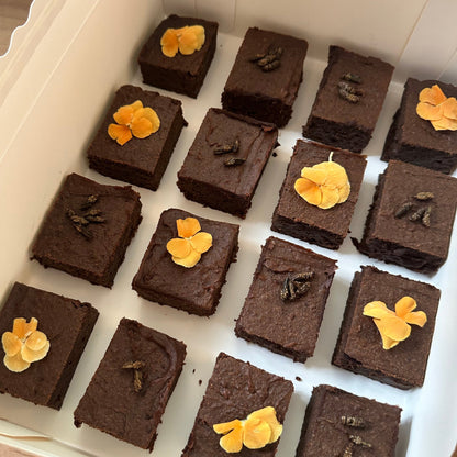 Cricket and almond brownies