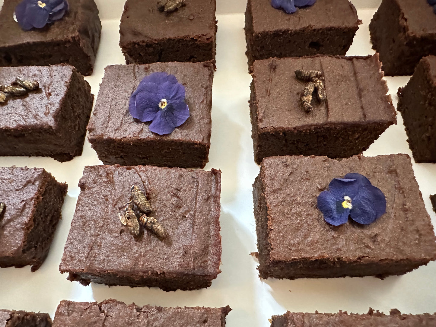 Cricket and almond brownies