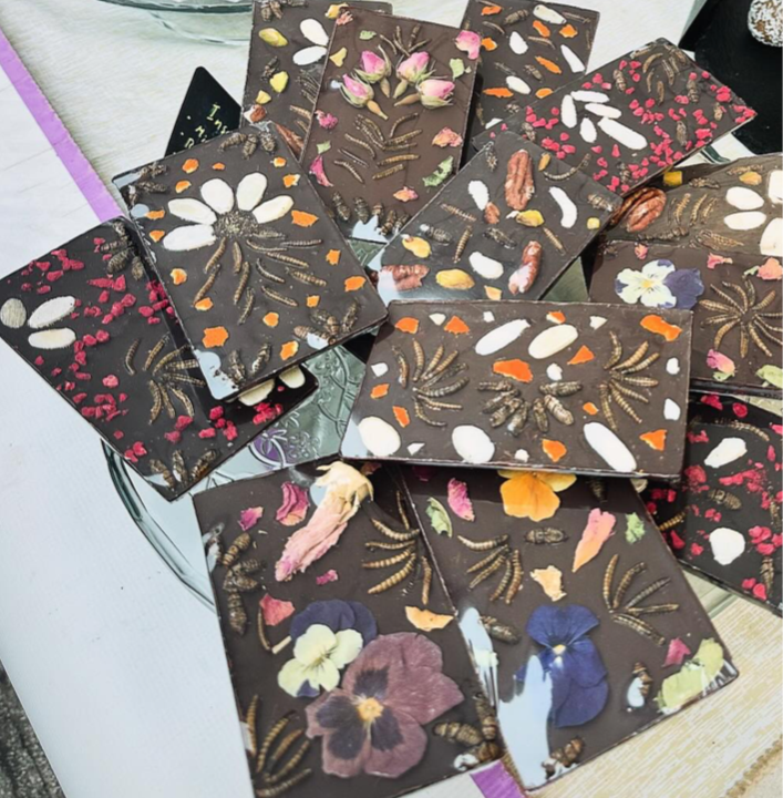 Insect Chocolate