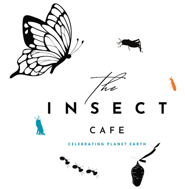 The Insect Cafe